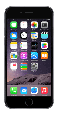 Téléphone Apple Apple iPhone 6S Gris Sideral 32Go Comme Neuf